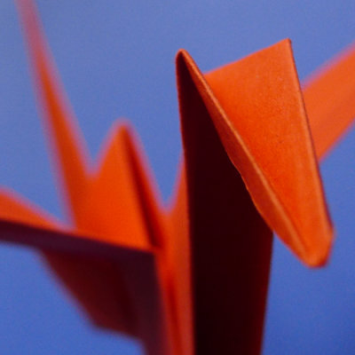 Origami -Flying Bird-