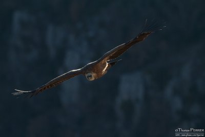 _7D_6805.jpg