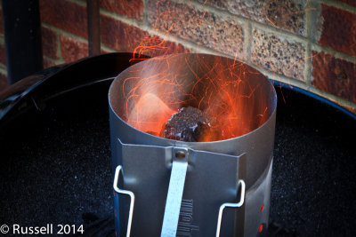 140329 BBQ 029.jpg