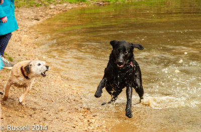 150405 Dinton Pastures 004-3.jpg