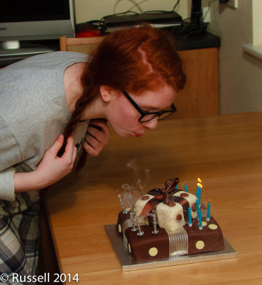 150131 Birthday 052.jpg