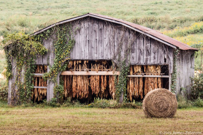 Tobacco Barn (27685)