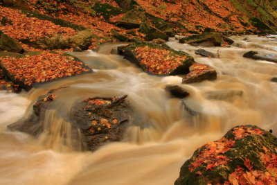 BEAMER FALLS