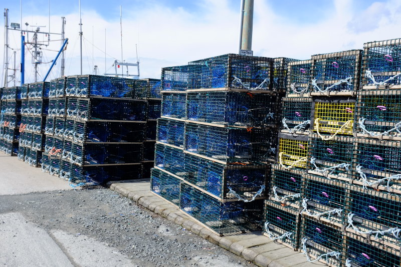 Lobster Traps - Eastern Passage, Nova Scotia