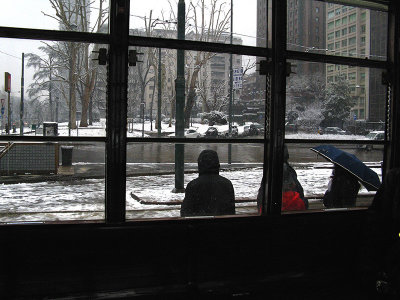 View from Tram Line #1 .. 4299