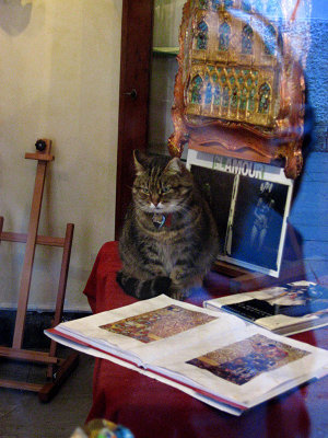 Bella, Dorsoduro shop cat .. 3007