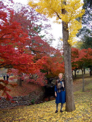 color galore: Nara park