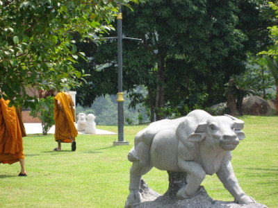 tourist monks