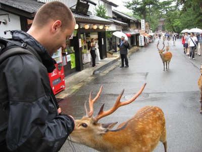 our new German friend with a Nara local