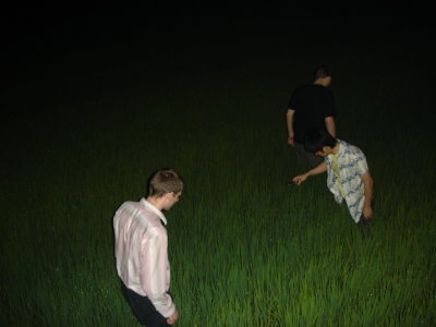 trying to find a basketball in the rice field