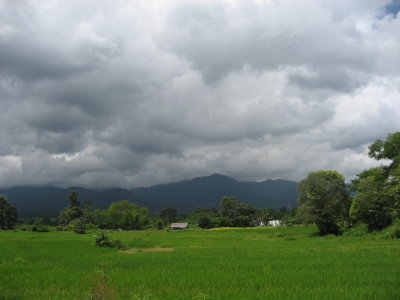 more rice fields and clouds