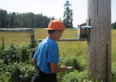 Mason cleaning nestboxes