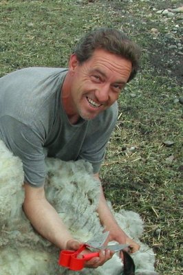 Shearing time