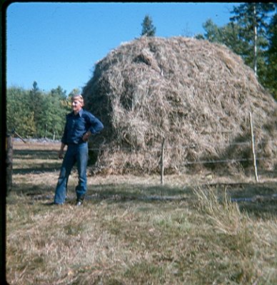 Our hay crop - 1975