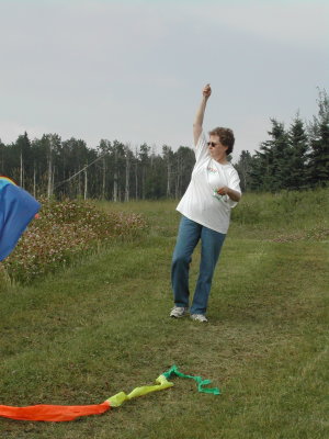 Kite Flying on the meadow