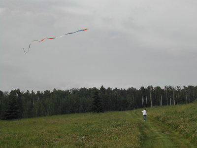 Kites on the meadow