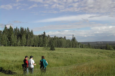 Meadow walk with friends