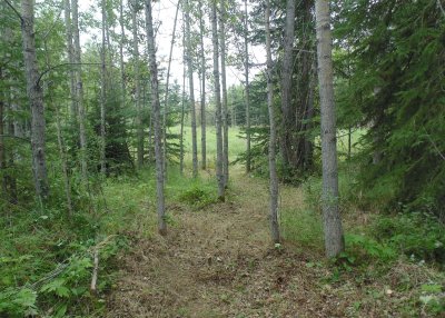 Cabin - Memorial Site 2015