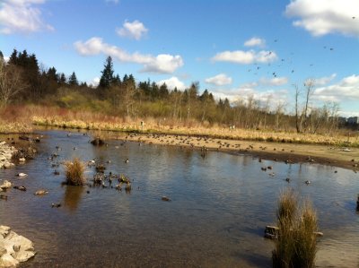 Vancouver - Easter 2016