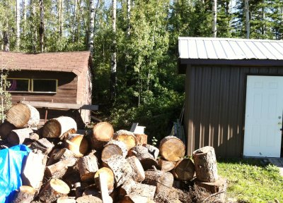 Splitting firewood 
