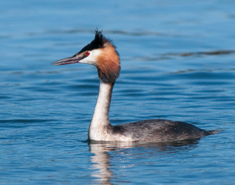 Vsterviks hamn Smland