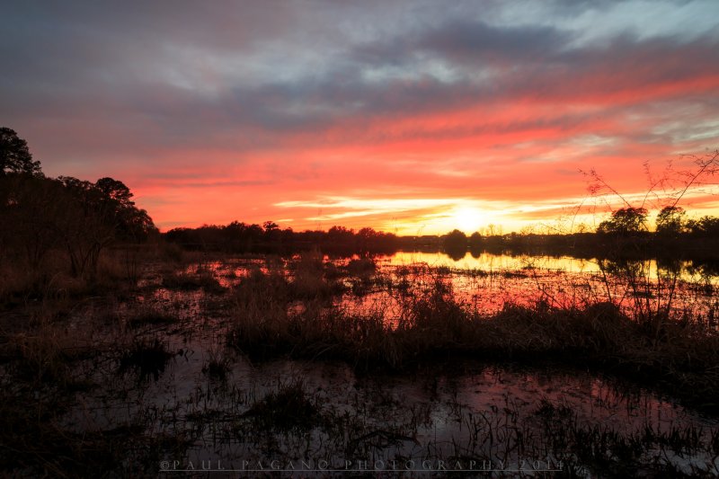 Fire Sky