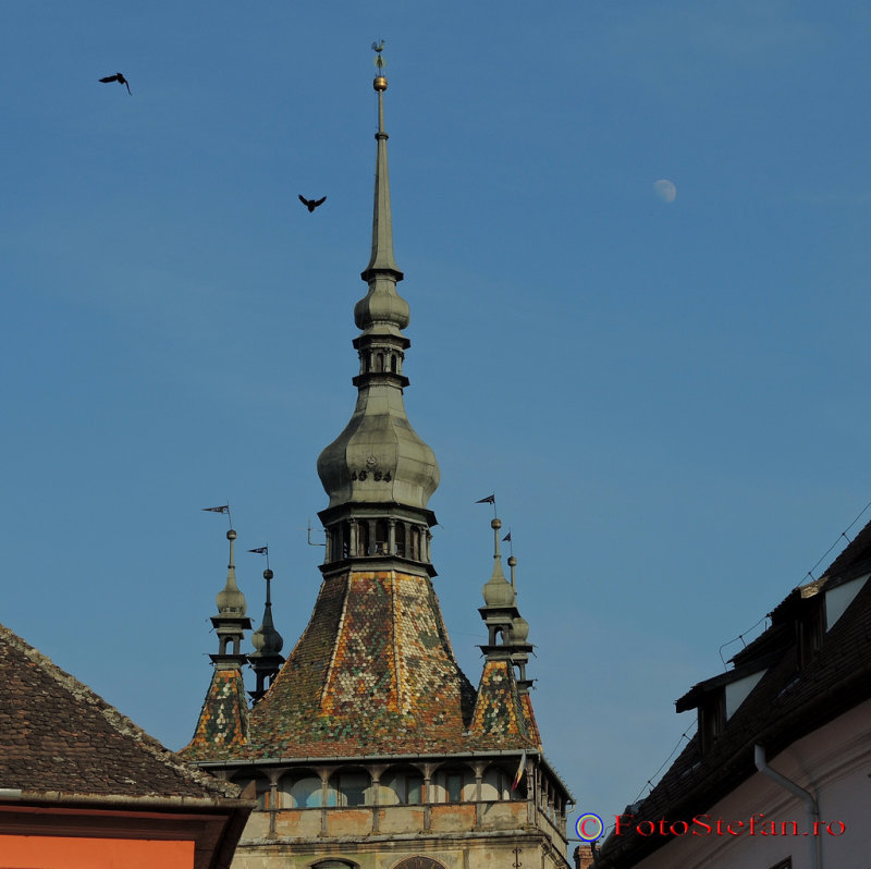 sighisoara-poze-144.JPG