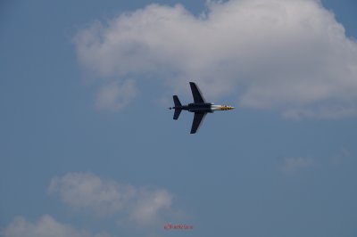 bias_Alphajet-2.JPG