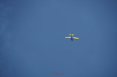 bias_Extra EA-300L-1.JPG