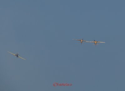 bias_iacarii_acrobati-3.JPG