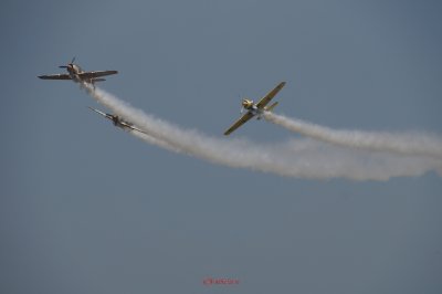 bias_iacarii_acrobati-4.JPG