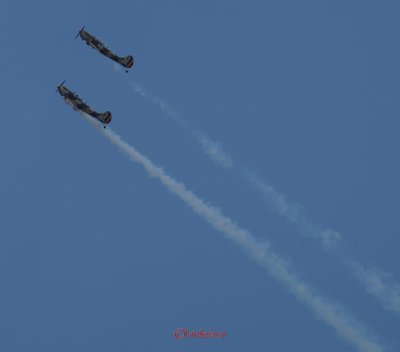 bias_iacarii_acrobati-7.JPG
