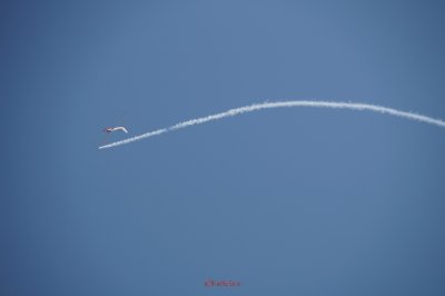 bias_planor_iar-1.JPG