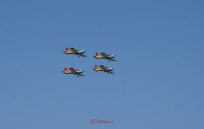 bias_zlin142-2.JPG