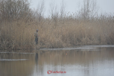 nikon-70-200-lacul-vacaresti-20.JPG