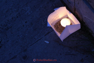 festivalul-luminii-bucuresti-12.JPG