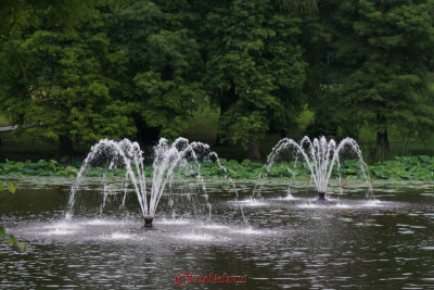 g9/31/798231/3/156243061.67ovPcAg.jpg