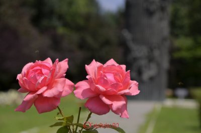 g9/31/798231/3/156785201.ouKXFCE5.jpg