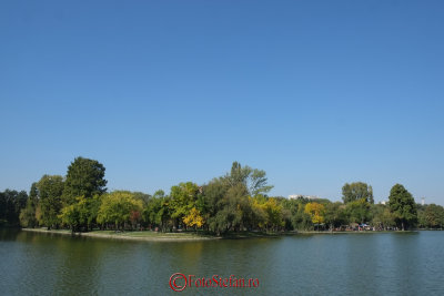 g9/31/798231/3/157814698.AxzM7Krh.jpg