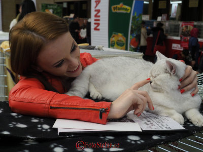 hallowinner-Cat-Show-sofisticat-2014-22.JPG