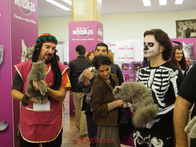 hallowinner-Cat-Show-sofisticat-2014-4.JPG