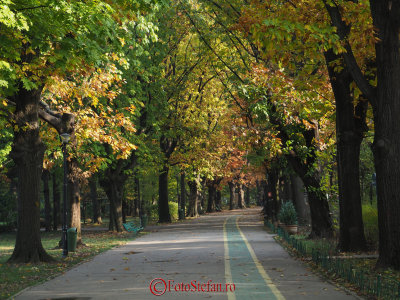 g9/31/798231/3/158151901.CIzkcZWJ.jpg
