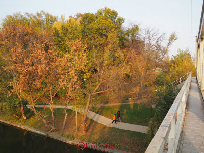 g9/31/798231/3/158225580.P4CnCmvF.jpg