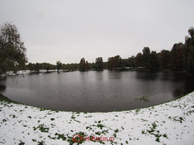 g9/31/798231/3/158225581.rtq1f8RV.jpg