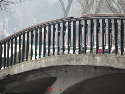 g9/31/798231/3/158921797.8GElM3zG.jpg