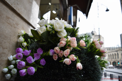 g9/31/798231/3/159645237.RDUPyQef.jpg