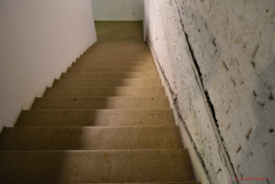 g9/31/798231/3/159647260.TL38lLe0.jpg