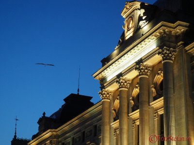 OlympusE-M5MarkII-iso2500.JPG