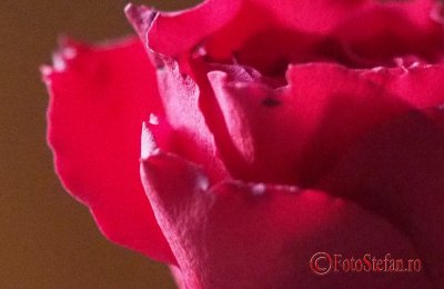 OlympusE-M5MarkII-iso8000-crop.jpg