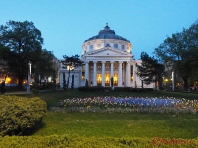 iso8000-NR-off.JPG
